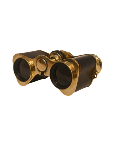 Vintage Binoculars with Case